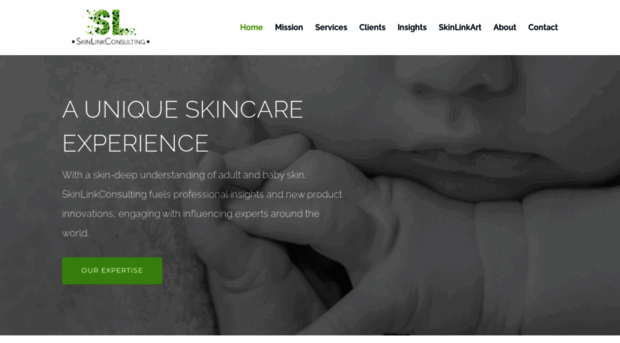 skinlinkconsulting.com