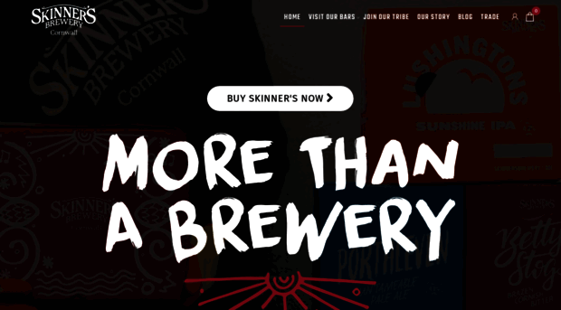 skinnersbrewery.com