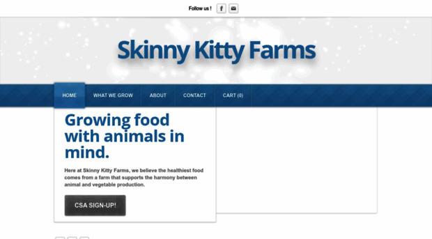 skinnykittyfarms.com