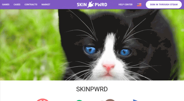 skinpwrd.com