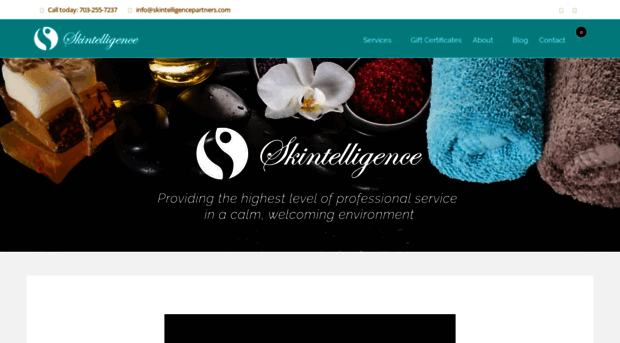 skintelligencepartners.com