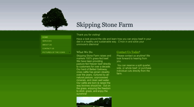 skippingstonefarm.com