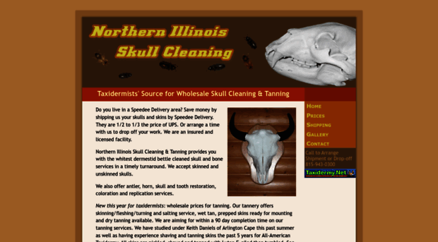 skullcleaner.com