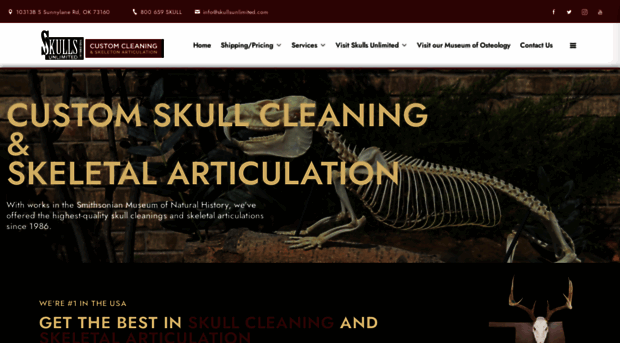 skullcleaning.com