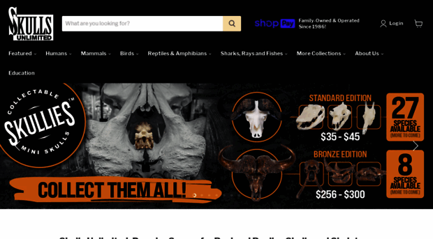 skullsunlimited.com