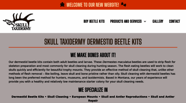 skulltaxidermy.com