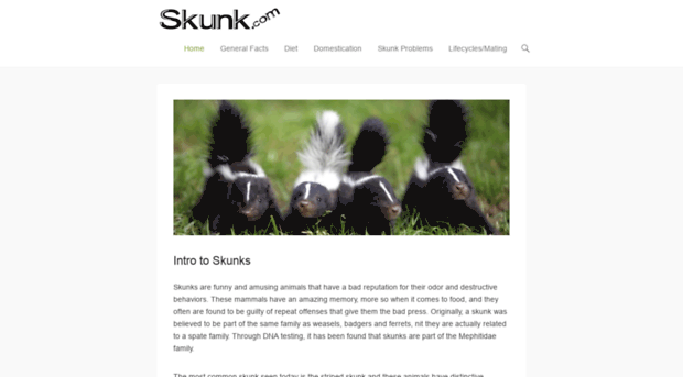 skunk.com