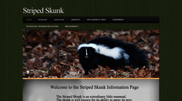 skunksmell.weebly.com