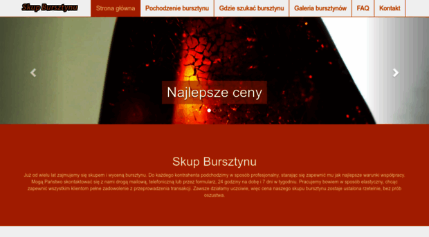 skupbursztynu.com