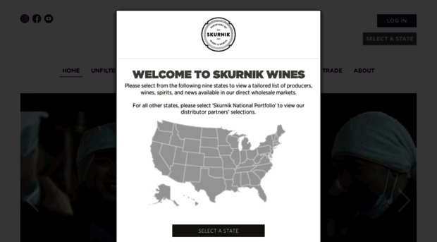 skurnikwines.com