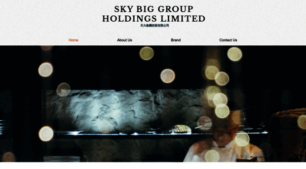 skybiggroup.com