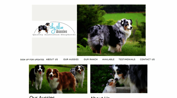 skyblueaussies.com