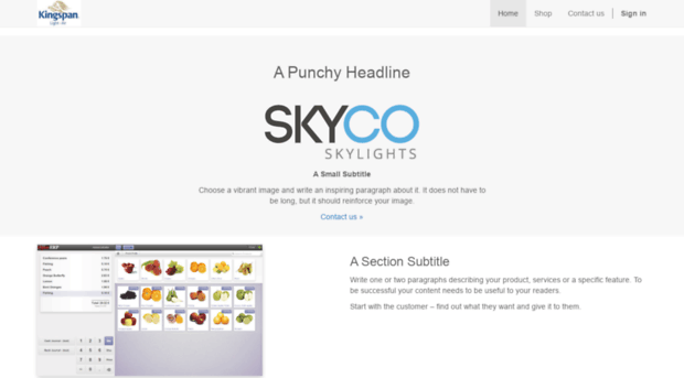 skycoskylights.odoo.com