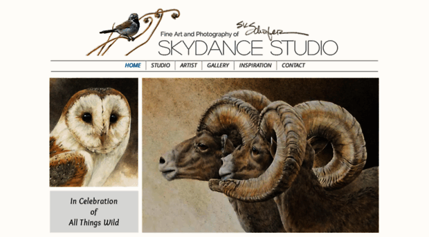 skydancestudio.com