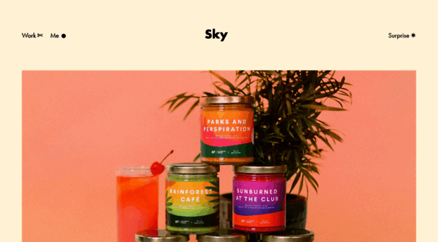 skyerickson.com