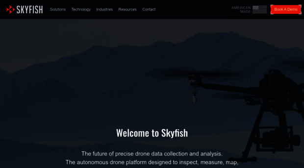 skyfish.ai