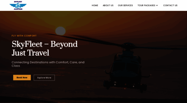 skyfleetaviation.com