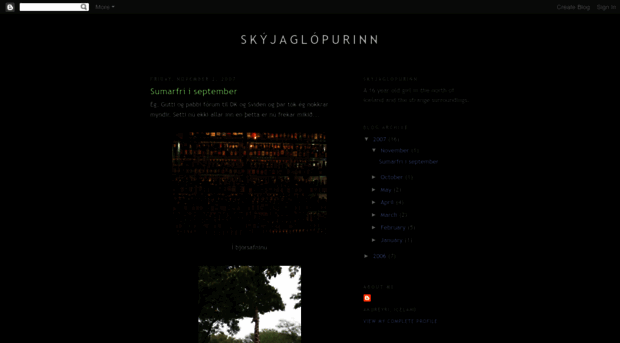 skyjaglopurinn.blogspot.com