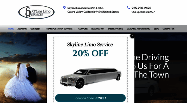 skylinelimoservice.com