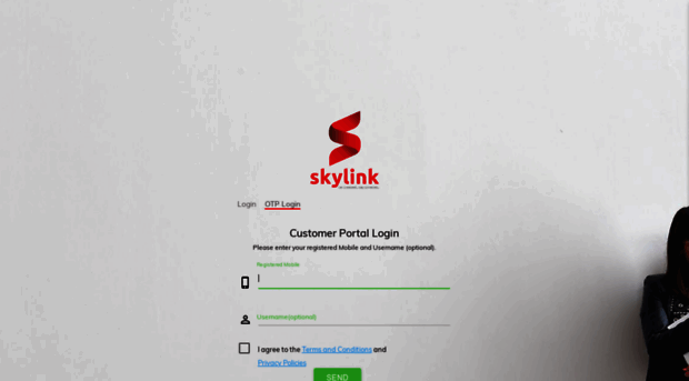 skylinknet.in