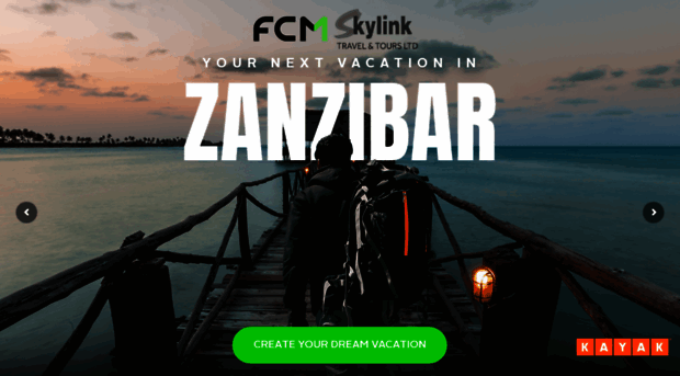 skylinktanzania.co.tz