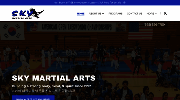 skymartialarts.com