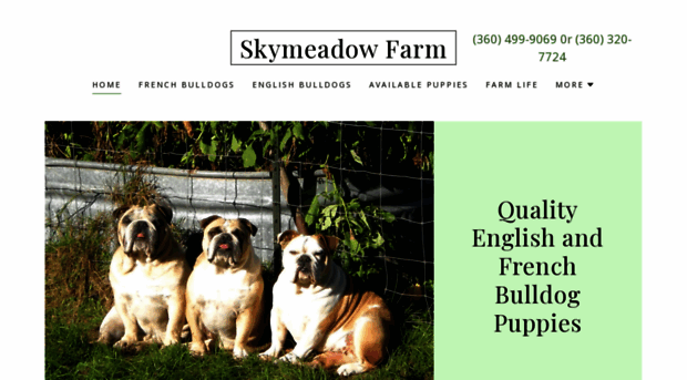 skymeadowfarm.com