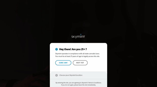 skymint.com