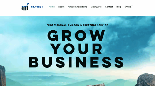 skynetagency.com