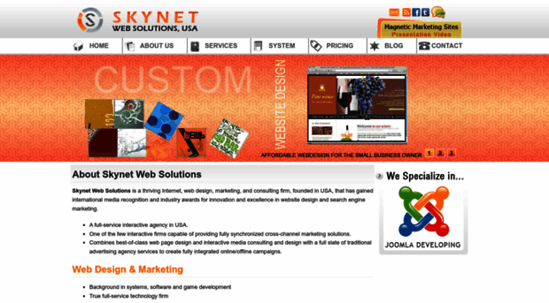 skynetwebsolutionsusa.com