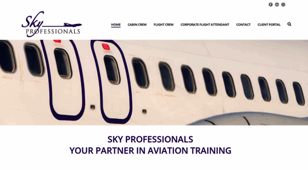 skyprofessionals.com