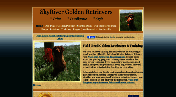 skyrivergoldenretrievers.com