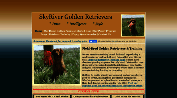 skyrivergoldens.com