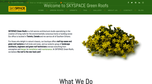 skyspacegreenroofs.com