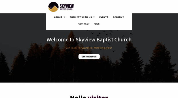 skyviewbaptist.com