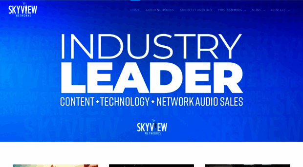 skyviewnetworks.com