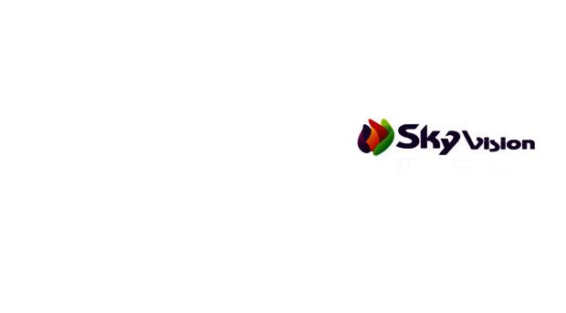 skyvisionitsolutions.com