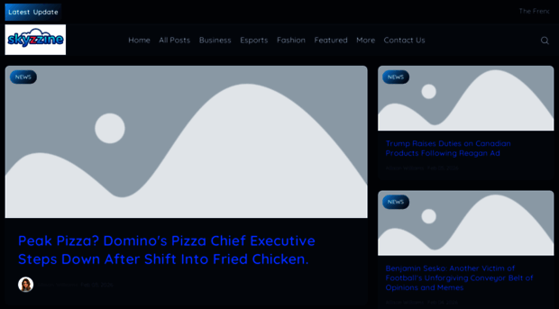 skyzyne.com