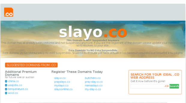 slayo.co