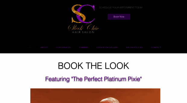 sleekchichairsalon.com