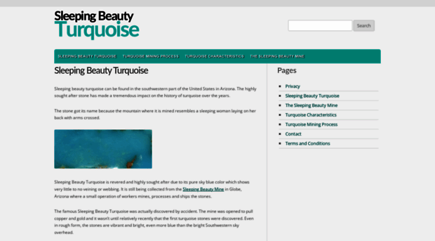 sleepingbeautyturquoise.info