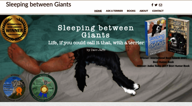 sleepingbetweengiants.com