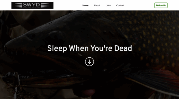 sleepwhenyouredead.com