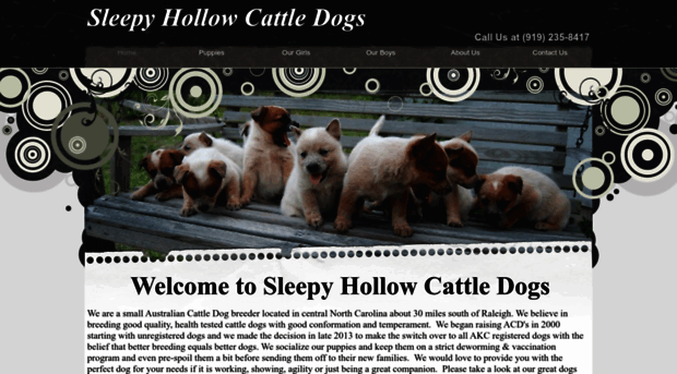 sleepyhollowcattledogs.com