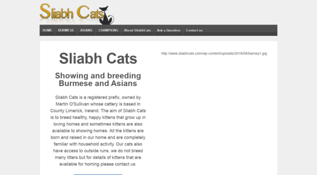 sliabhcats.com