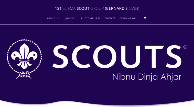 sliemascouts.net