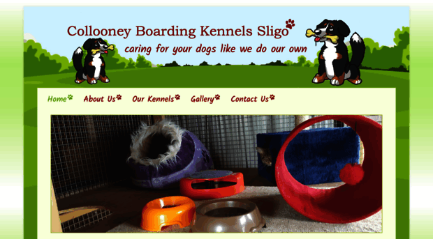 sligodogkennels.com