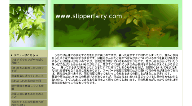 slipperfairy.com