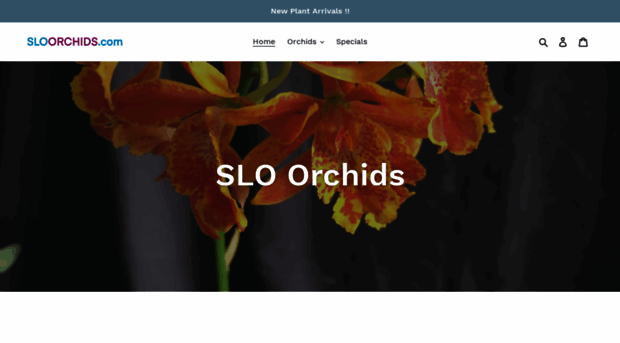 sloorchids.com