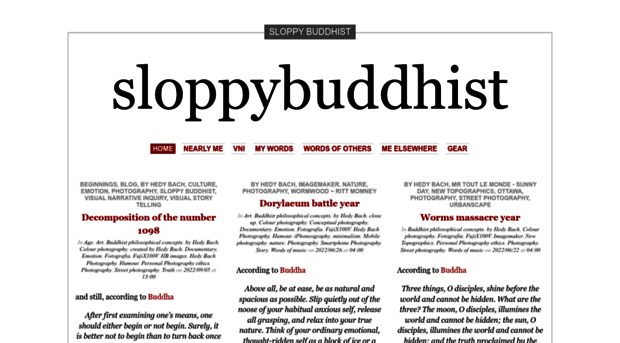 sloppybuddhist.com